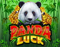 Panda Luck